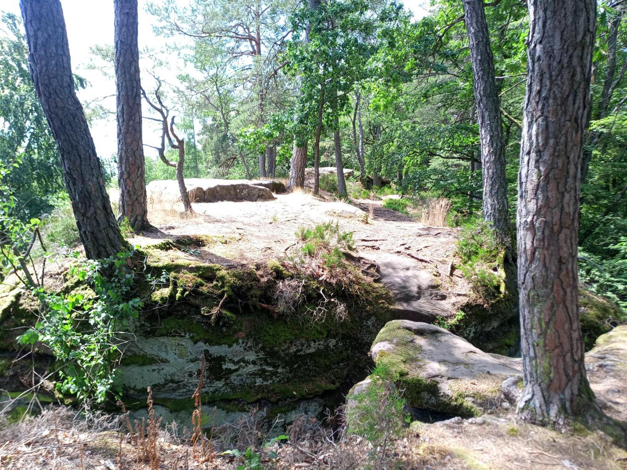 Zimmer Mit Sauna Und Kochgelegenheit Rott Extérieur photo